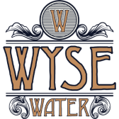 Logo de DrinkWyse