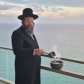 Logo de Rabbi Aryeh