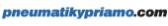 Logo de Pneumatikypriamo
